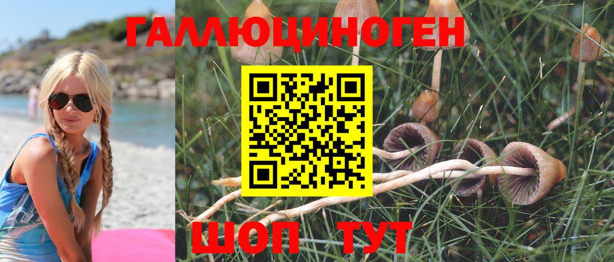 Галлюциногенные грибы GOLDEN TEACHER  Псилоцибиновые грибы мухоморы  Вход с VPN  Ивантеевка 